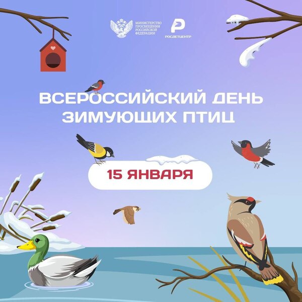 День зимующих птиц России.